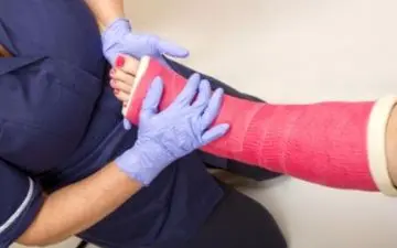 سخنی با عاشقان گیاه خواری