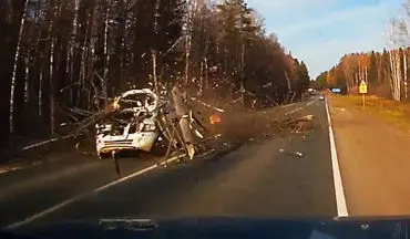 فیلم لحظه وحشتناک سقوط درخت روی خودروی سواری 