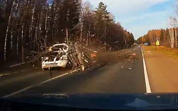 فیلم لحظه وحشتناک سقوط درخت روی خودروی سواری 