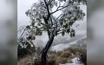 اولین بارش برف در تاریخ هاوایی را ببینید