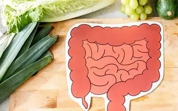 ترش کردن غذا اذیت تان می کند/ راه حل های ساده و سریع را بخوانید