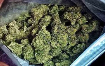 کشف 5 کیلوگرم مواد مخدر در کرمانشاه 