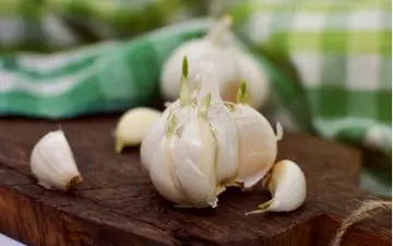 درمان عفونت گوش با سیر