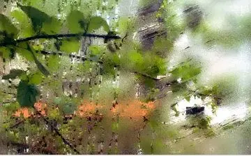 پیش بینی آب و هوا/ 15 استان در خطر رعدوبرق و سیلاب