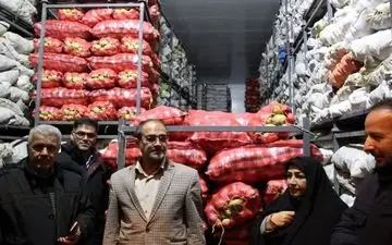 ورود چند برابری سیب زمینی به تهران 

