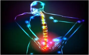 ۵ راهکار جهت پیشگیری از بروز کمردرد