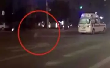 وفاداری عجیب یک سگ سوژه رسانه ها شد!+فیلم