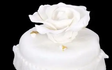 کیک عروسی مجلل دونالد و ملانیا ترامپ پس از ۱۲ سال به مزایده گذاشته شد!