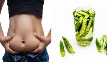 خواص بامیه برای لاغری؛ چربی‌سوزی و بهبود هضم غذا با این سبزی شگفت‌انگیز