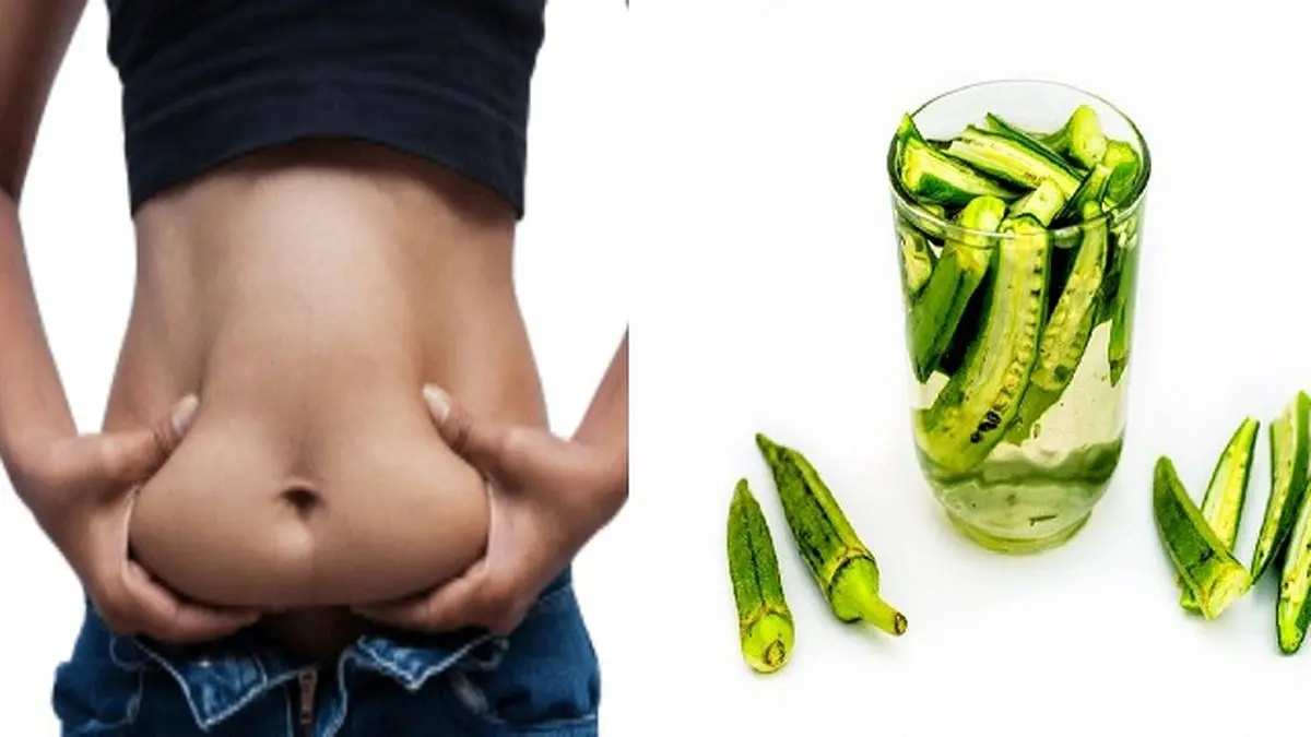 خواص بامیه برای لاغری؛ چربیسوزی و بهبود هضم غذا با این سبزی شگفتانگیز