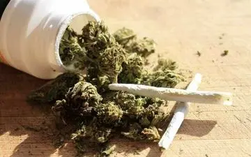  بیشترین مخدر مصرفی در کشور چیست؟ | گل به رتبه سوم آمد!