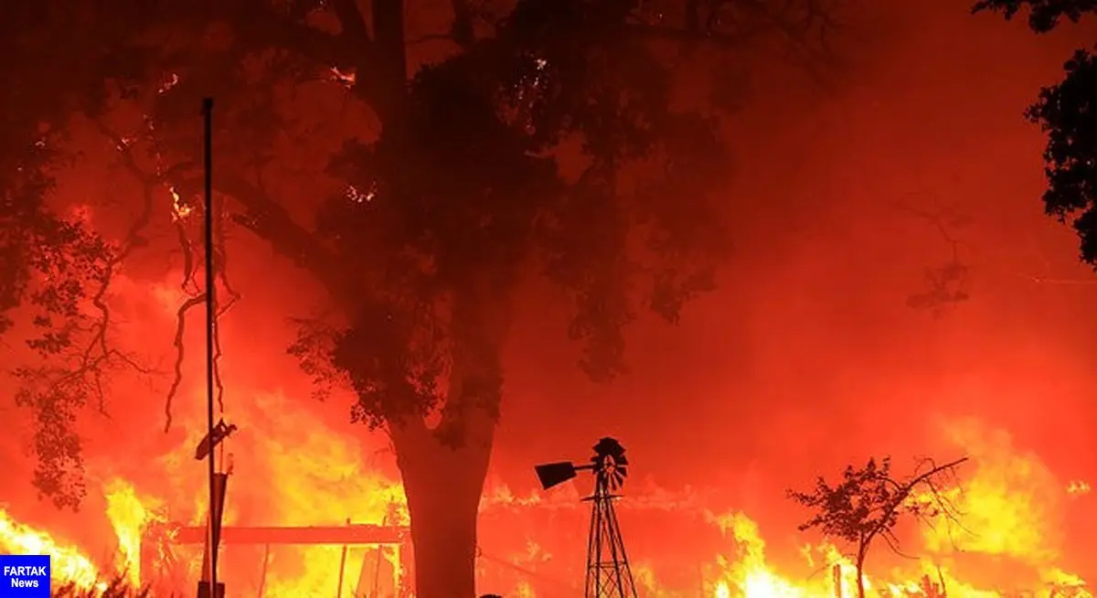 شمار قربانیان آتش‌سوزی در کالیفرنیا به ۵۰ نفر رسید
