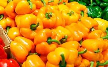 آیا خوردن فلفل دلمه ای برای همه بی خطر است؟ | اگر هرروز فلفل دلمه ای بخوریم چه می شود؟

