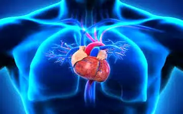 چند عامل ساده‌ای که باعث می‌شود قلب شما بیمار شود