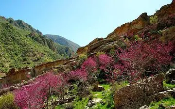 گشتی در طبیعت ایلام