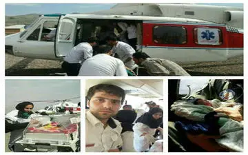 تولد نوزاد عجول در آسمان البرز + عکس