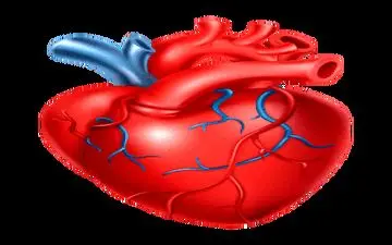اگر مشکل قلبی دارید این ورزش ها را نکنید!