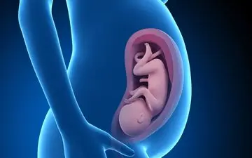 در شکست آی وی اف مقصر زن است یا مرد؟
