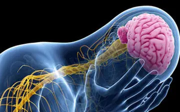  داروی گیاهی ایرانی صرع در راه بازار