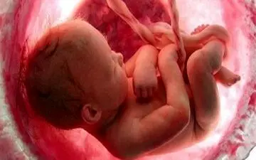 تعیین جنسیت جنین با رژیم غذایی؟

