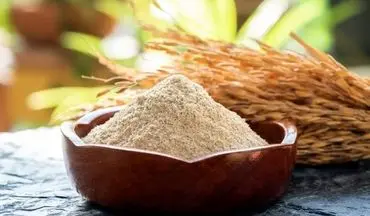 خواص سبوس برنج برای لاغری؛ کاهش سریع چربی بدن با این ماده مغذی