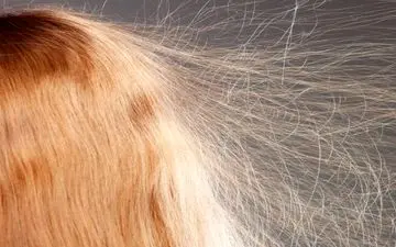 چگونه از شر الکتریسیته ساکن مو خلاص شویم؟