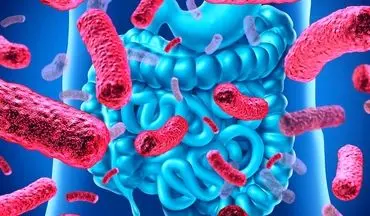 باکتری‌های خوب با سلامت ما چه می‌کنند؟ تأثیر شگفت‌انگیز پروبیوتیک‌ها