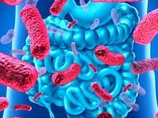 باکتری‌های خوب با سلامت ما چه می‌کنند؟ تأثیر شگفت‌انگیز پروبیوتیک‌ها