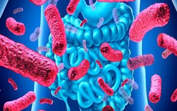 باکتری‌های خوب با سلامت ما چه می‌کنند؟ تأثیر شگفت‌انگیز پروبیوتیک‌ها