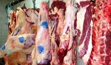 میزان عرضه گوشت گوسفندی از روز شنبه چند برابر شد 