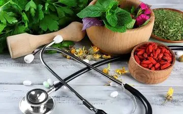 سلامت در گردش فصل‌ها؛ تدابیر فصلی در طب سنتی ایرانی