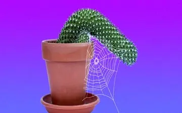 جراحی پرده آلت چیست و چگونه منجر به افزایش طول آلت می شود؟