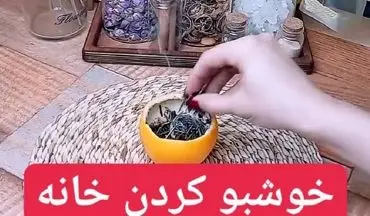 میخوای خانه‌ات همیشه خوشبو باشه؟ بیا تا یک ترفند ساده نشونت بدم+ویدئو