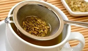 شکمِ آرام، زندگیِ شاد/ ۳ گیاهِ معجزه‌آسا برایِ تسکینِ دردهایِ معده!