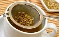 شکمِ آرام، زندگیِ شاد/ ۳ گیاهِ معجزه‌آسا برایِ تسکینِ دردهایِ معده!