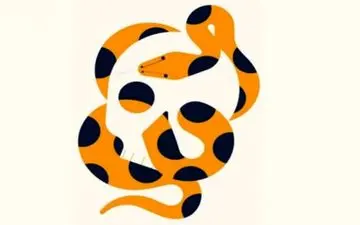 میخوای بفهمی دیگران عاشق کدوم اخلاقت هستن؟ این تست تصویری رو انجام بده