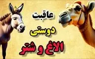 حکایت دوستی الاغ و شتر | حکایت جذاب هر سخن جایی و هر نکته مکانی دارد!