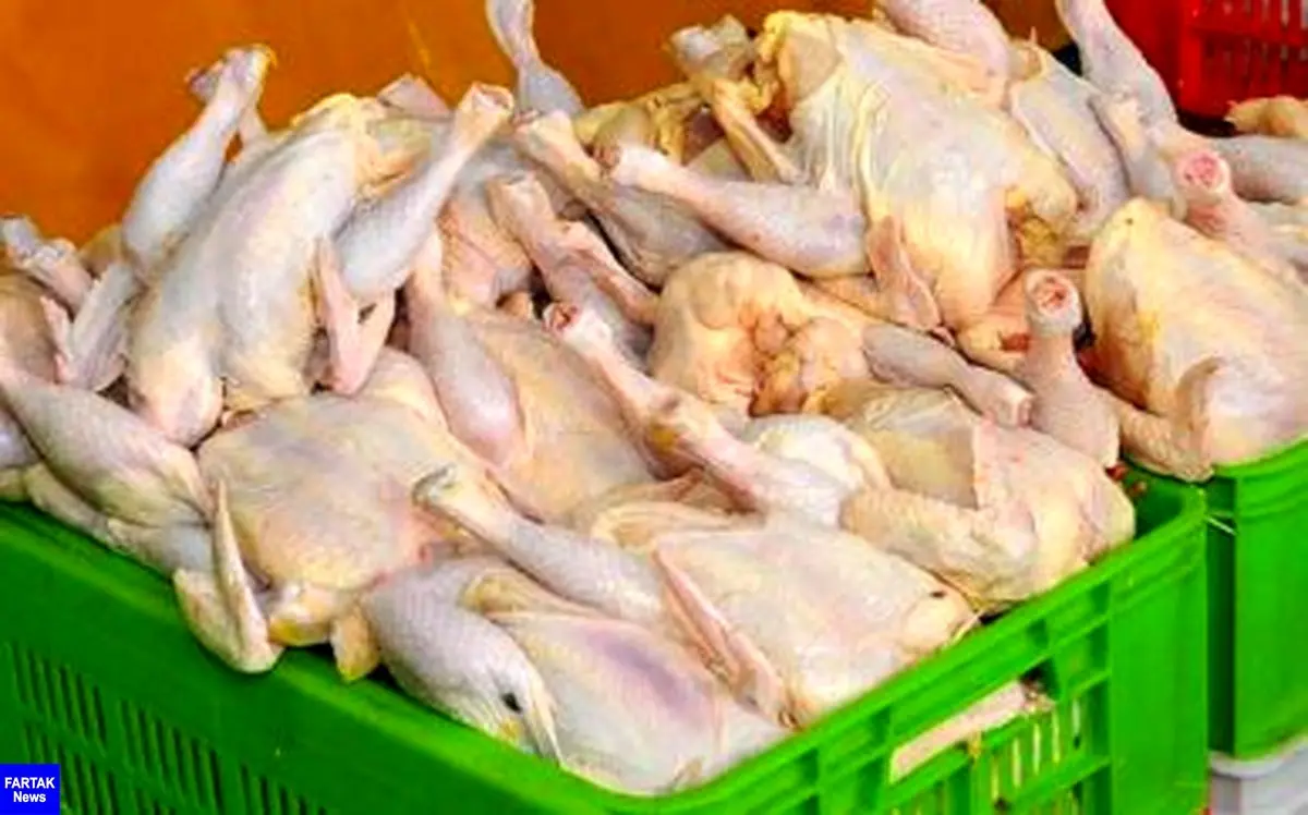 آخرین نوسانات قیمت مرغ در بازار