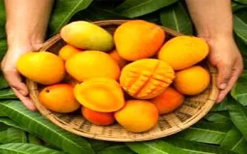 این میوه‌ها باعث چاقی می شوند