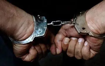 سرقت یک میلیاردی از مادربزرگ