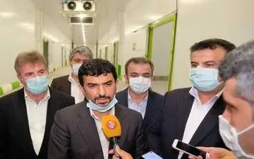 سرپرست سابق وزارت صمت مدیرعامل گروه مدیریت سرمایه گذاری امید شد