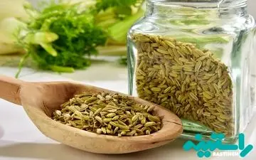 این افراد لب به رازیانه نزنند!