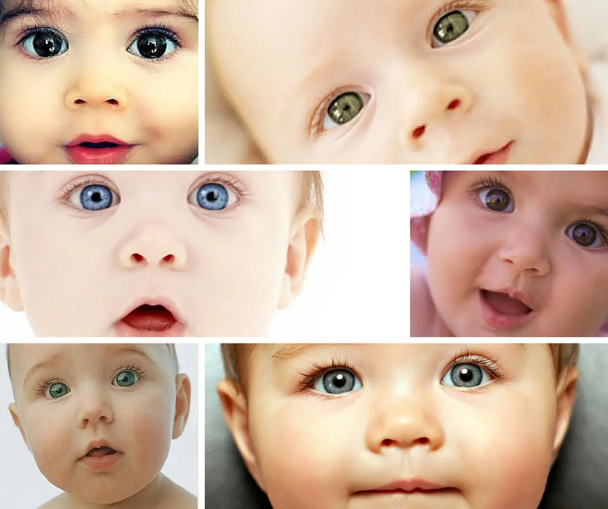 رنگ چشم جنین | چگونه جنین چشم رنگی می شود؟
