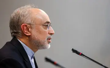 صالحی: اجـرای عملیـات بازطراحی راکتور اراک با شتابی قابل قبول به پیش می­‌رود