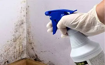 چند ترفند برای از بین بردن لک و نم دیوار
