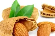 بدون بادام زندگی ممنوع!

