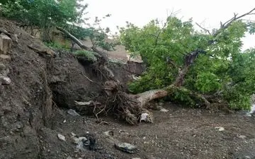 سیلی سنگین سیلاب به روستای سلیمانی فیروزه