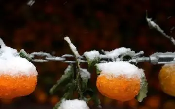 هشدار بارش باران و برف در ۱۶ استان