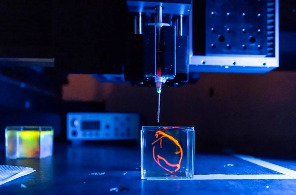 محققان دانشگاه استنفورد به‌دنبال چاپ سه‌بعدی قلب انسان و پیوند آن به خوک زنده هستند
