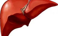 از کبدتان محافظت کنید/ ۵ ویتامین کلیدی برای تقویت کبد